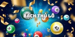 bạch thủ lô là gì