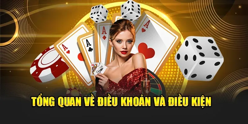 Tông quan điều khoản và điều kiện 23win